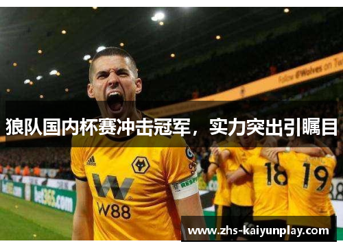 狼队国内杯赛冲击冠军，实力突出引瞩目